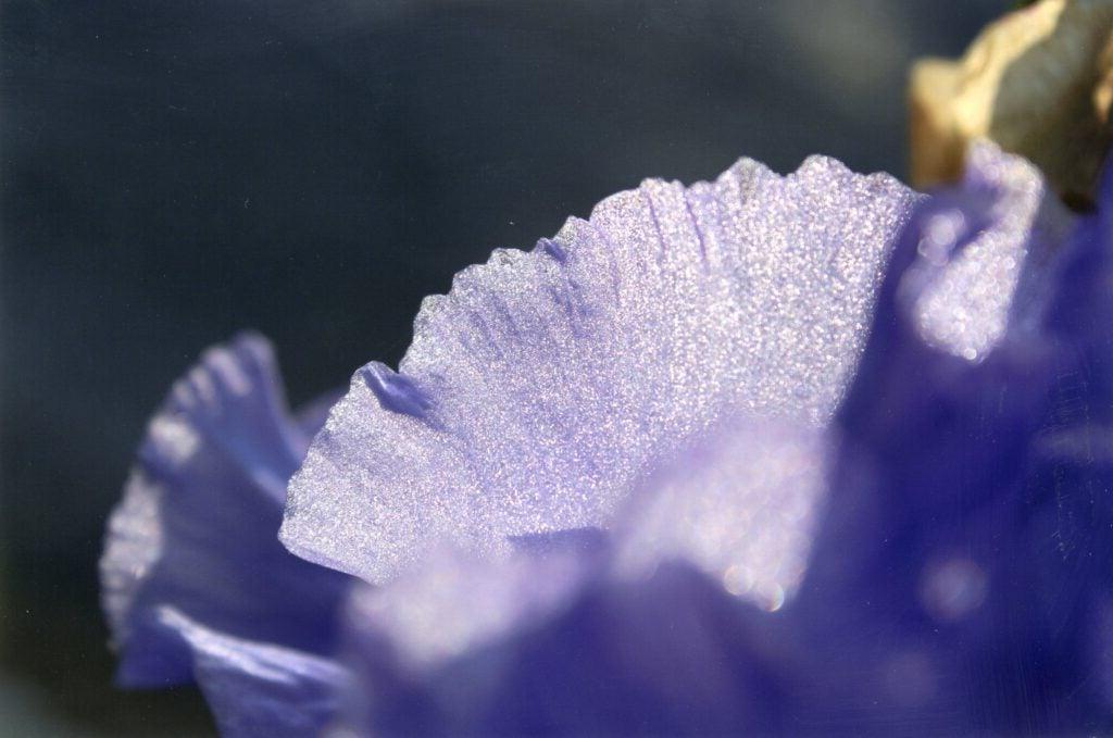 Close up on synthetic purple flower